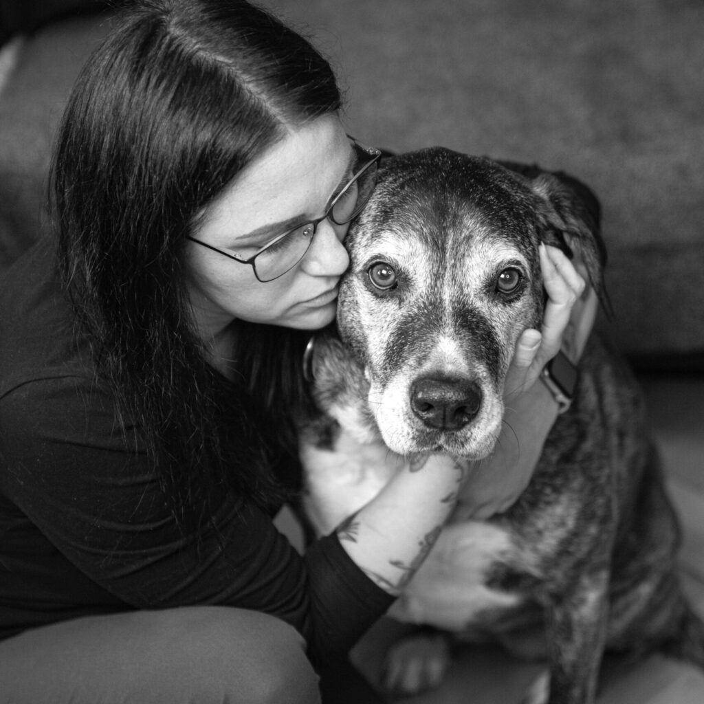 3c911762 f76c 47d2 925b c44b7a0411fe